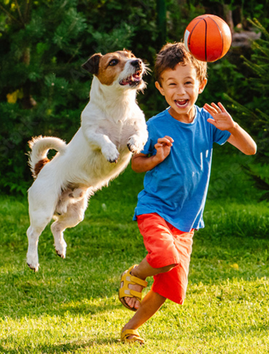 dog playing with child
